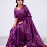 Dhira Saree